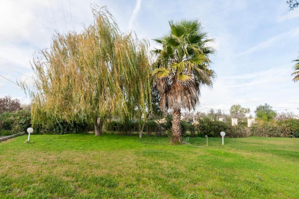 Villa Delle Stelle Con Piscina Leverano Exteriér fotografie